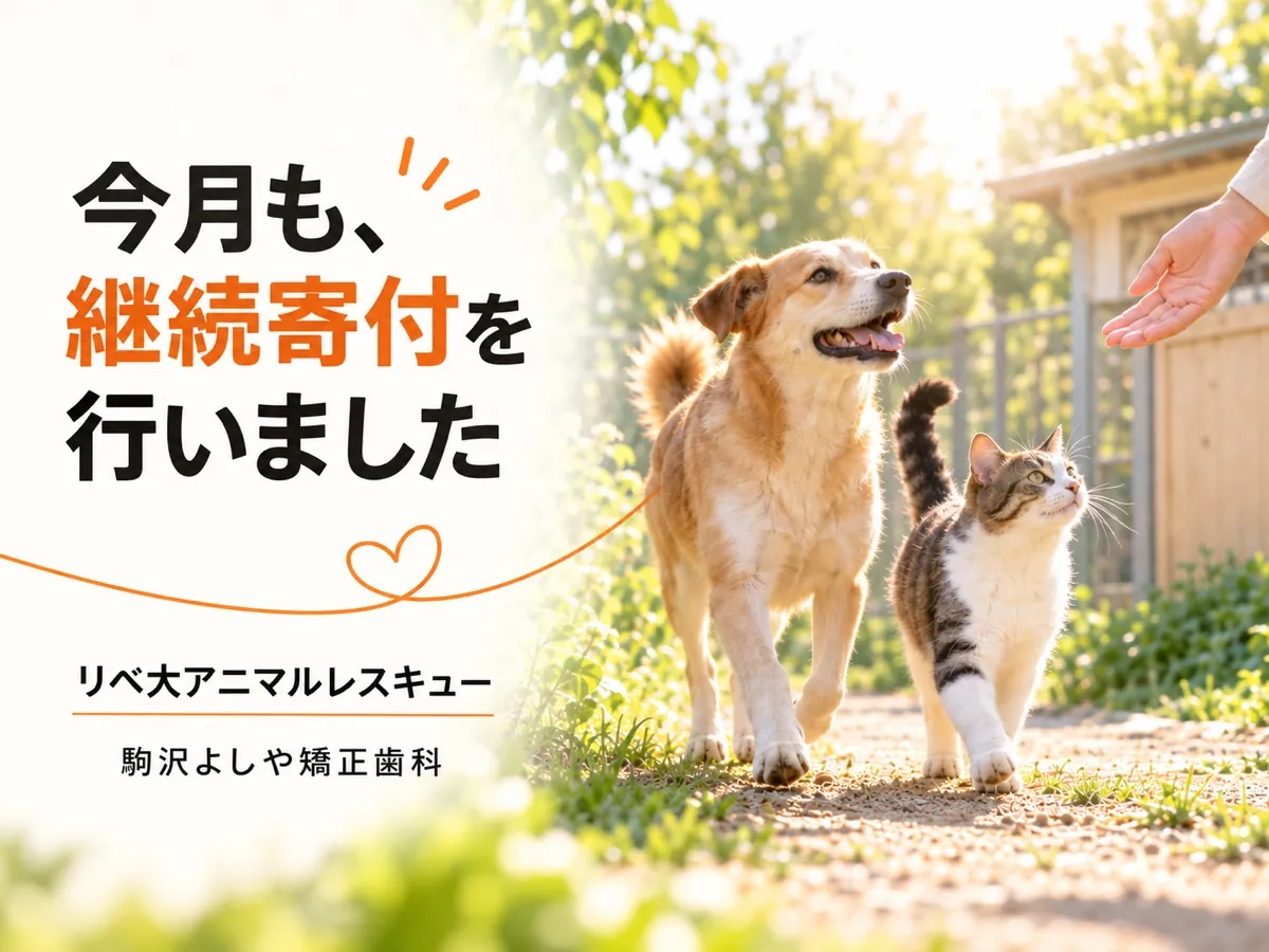 今月もリベ大アニマルレスキューへ継続寄付を行ったことを伝える、保護された犬と猫の画像
